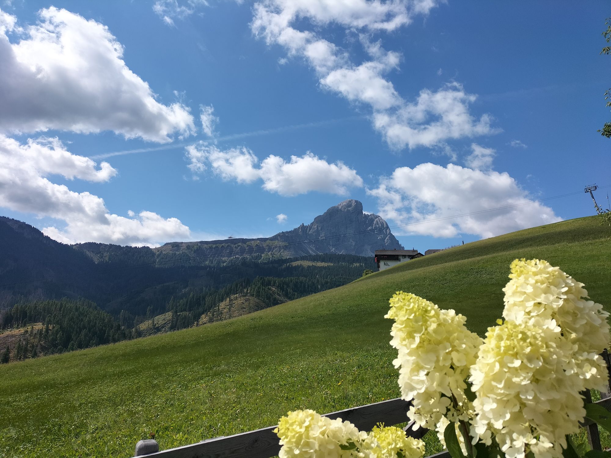 イタリア・モデナの夏休みとバルサミコ酢醸造室のリニューアル
