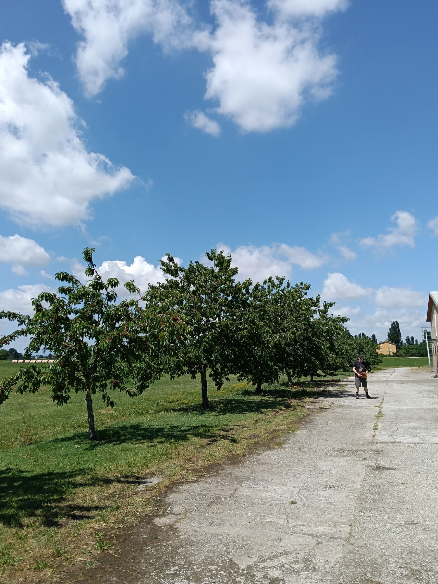 夏休みが始まってしまった！イタリアから